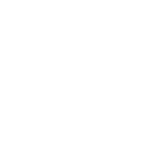 NET IPTV